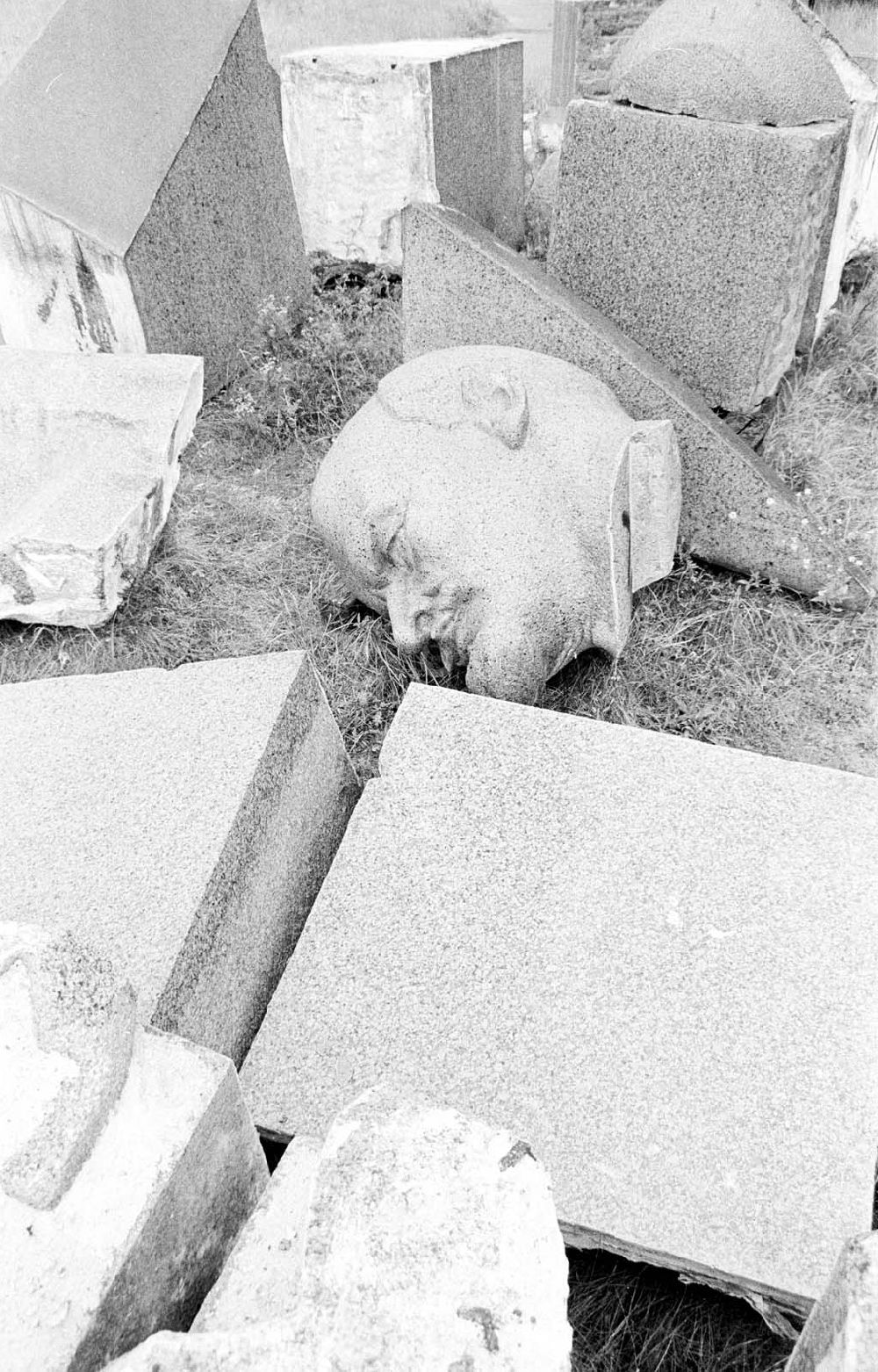 Berlin: Abgerissenes Lenindenkmal in den Seddiner Bergen (Köpenick) 06.07.1992