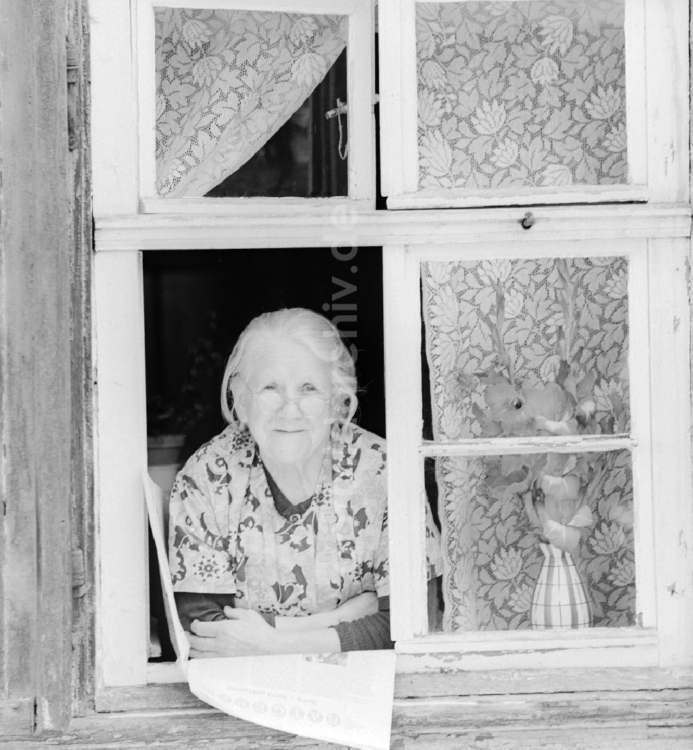 DDR-Fotoarchiv: Quedlinburg - Ältere Frau mit Kittelschürze und Brille schaut aus einem Fenster in Quedlinburg im Bundesland Sachsen-Anhalt auf dem Gebiet der ehemaligen DDR, Deutsche Demokratische Republik