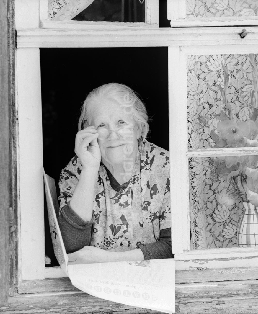 Quedlinburg: Ältere Frau mit Kittelschürze und Brille schaut aus einem Fenster in Quedlinburg im Bundesland Sachsen-Anhalt auf dem Gebiet der ehemaligen DDR, Deutsche Demokratische Republik