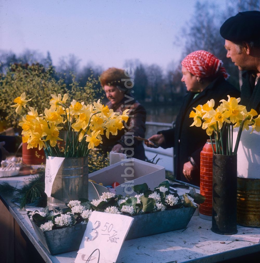 Hoppegarten: Ältere Frauen verkaufen selbstgepflückte Blumen auf einem Markt in Hoppegarten im Bundesland Brandenburg auf dem Gebiet der ehemaligen DDR, Deutsche Demokratische Republik