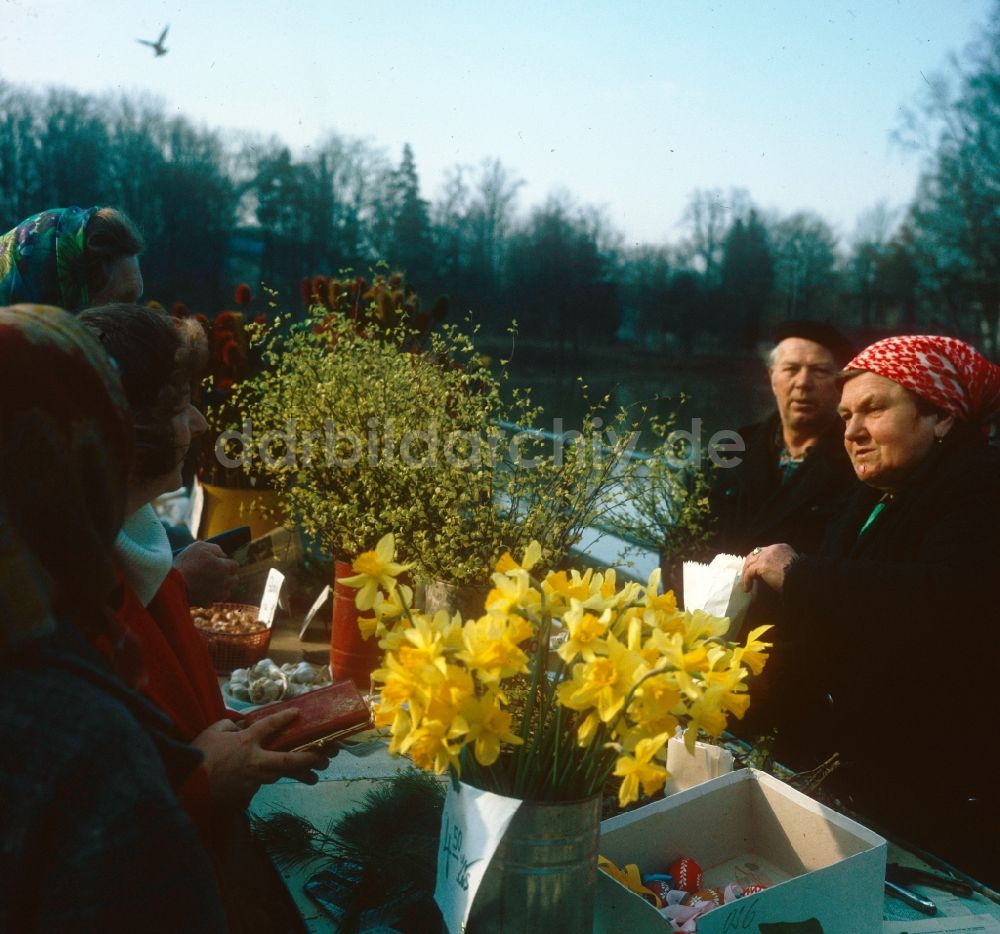 DDR-Bildarchiv: Hoppegarten - Ältere Frauen verkaufen selbstgepflückte Blumen auf einem Markt in Hoppegarten im Bundesland Brandenburg auf dem Gebiet der ehemaligen DDR, Deutsche Demokratische Republik