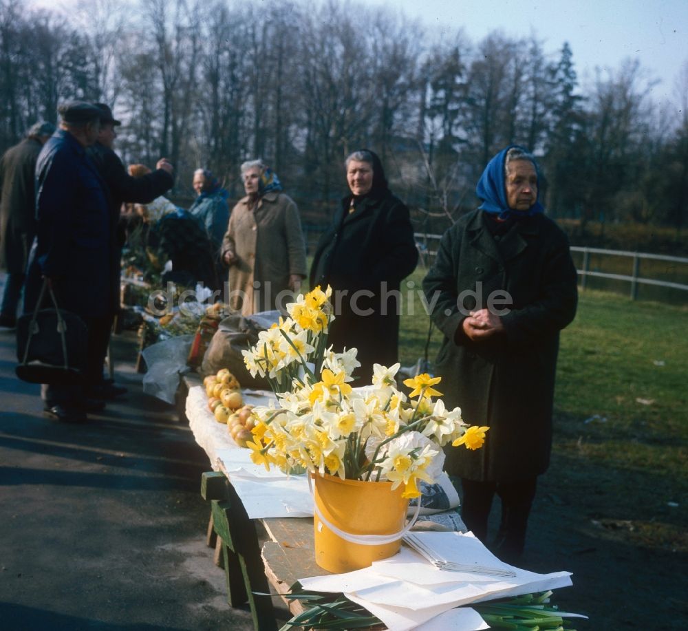 DDR-Fotoarchiv: Hoppegarten - Ältere Frauen verkaufen selbstgepflückte Blumen auf einem Markt in Hoppegarten im Bundesland Brandenburg auf dem Gebiet der ehemaligen DDR, Deutsche Demokratische Republik