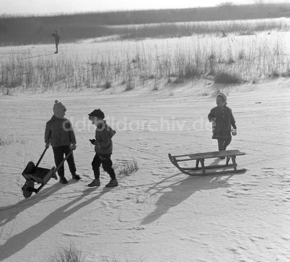 DDR-Fotoarchiv: Ahrenshoop - Ahrenshoop DDR - Im Schnee 1961