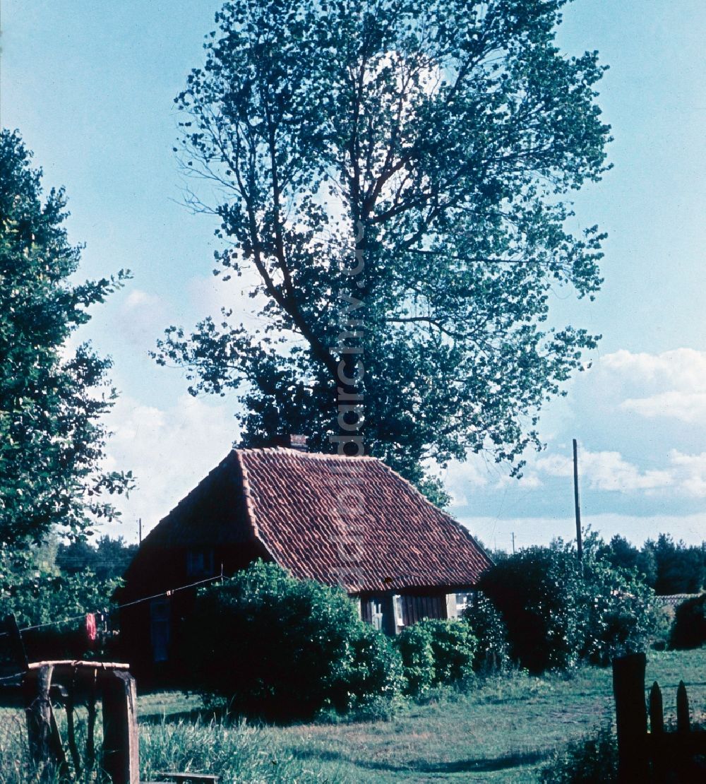 DDR-Fotoarchiv: Prerow - Alte Fischerhütte in Prerow in Mecklenburg-Vorpommern in der DDR