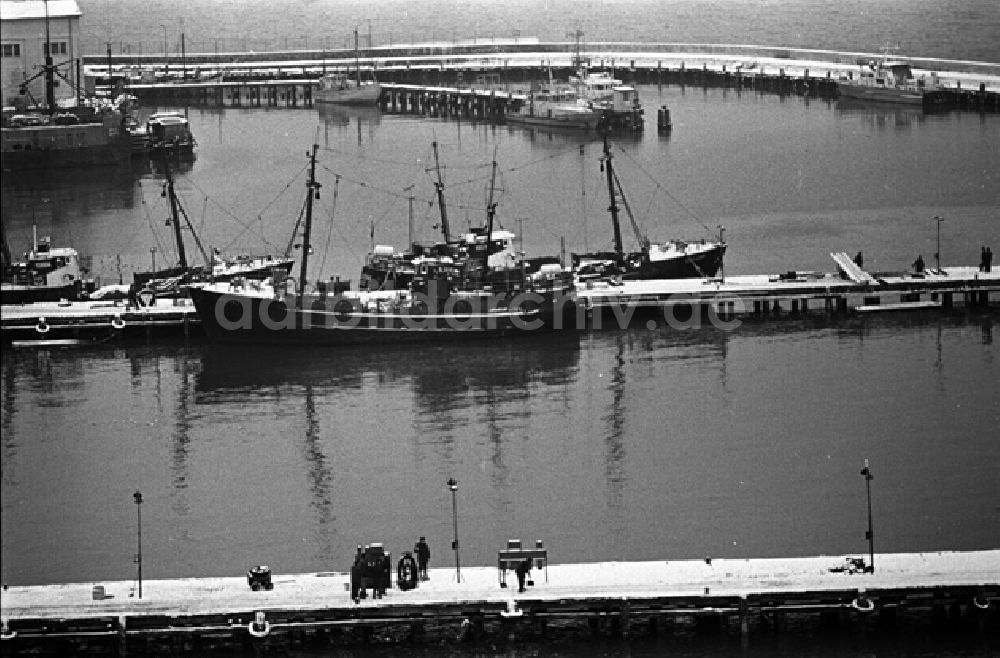 DDR-Fotoarchiv: Saßnitz - Ansichten auf verschiedene Arbeitsbereiche einer Fischereibesatzung im Saßnitzer Hafen.