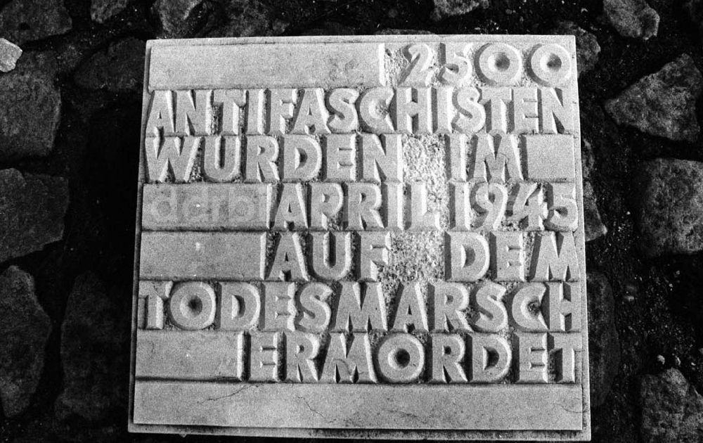 DDR-Fotoarchiv: - Antifaschistendenkmal / Land - Sachsen-Anhalt Umschlag:7101