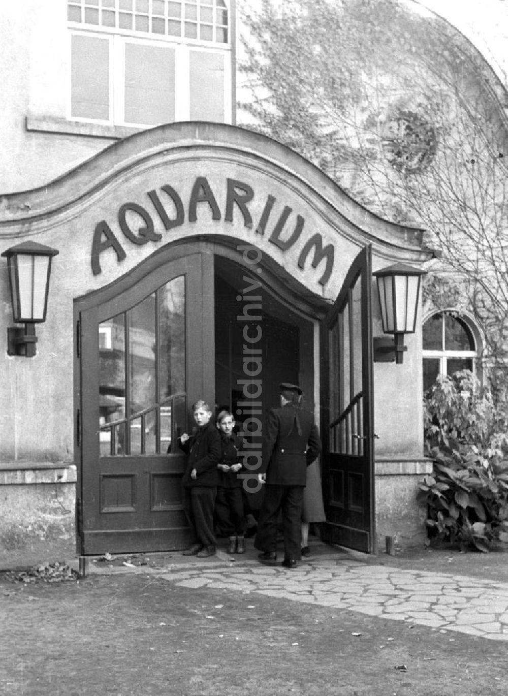 DDR-Fotoarchiv: Leipzig - Aquarium im Leipziger Zoo 1959