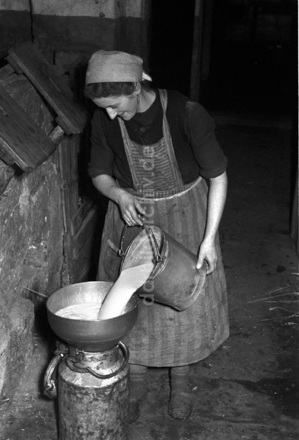 DDR-Bildarchiv: Reichstädt - Arbeiten zur Milchproduktion in einem Landwirtschaftsbetrieb in Reichstädt in Thüringen in der DDR