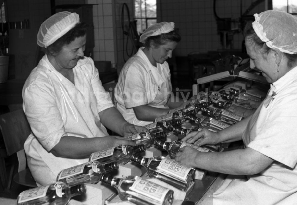 DDR-Fotoarchiv: Dresden - Arbeiterinnen am Fliessband der Spirituosenfabrik VEB Bramsch in Dresden in Sachsen in der DDR