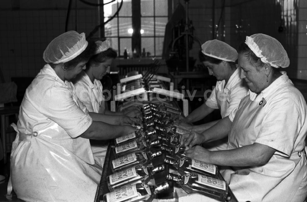 Dresden: Arbeiterinnen am Fliessband der Spirituosenfabrik VEB Bramsch in Dresden in Sachsen in der DDR