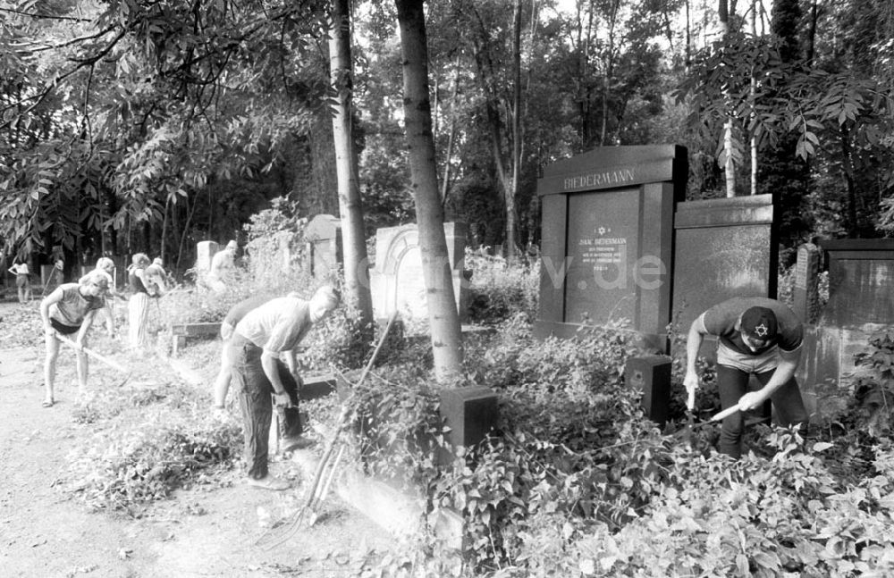 DDR-Fotoarchiv: Berlin-Weißensee - Arbeitseinsatz der Studenten auf dem jüdischen Friedhof in Weißensee 23.07.89 Foto: ND/Grahn Umschlagnummer: 0872