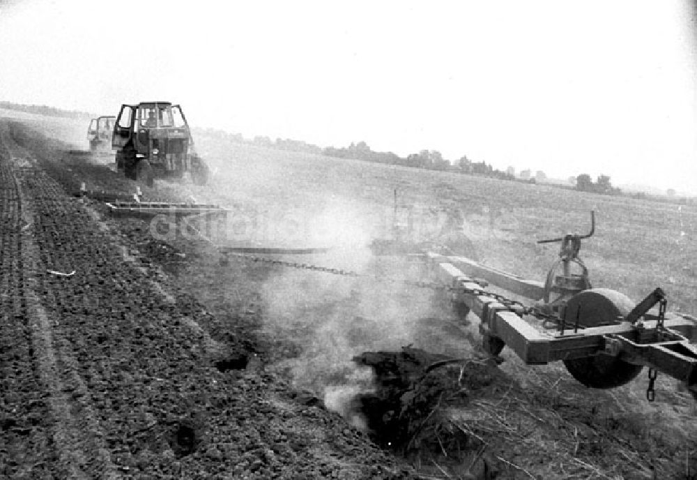 Mittenwalde: August 1973 Plugarbeiten auf einem Feld im Kreis Mittenwalde.