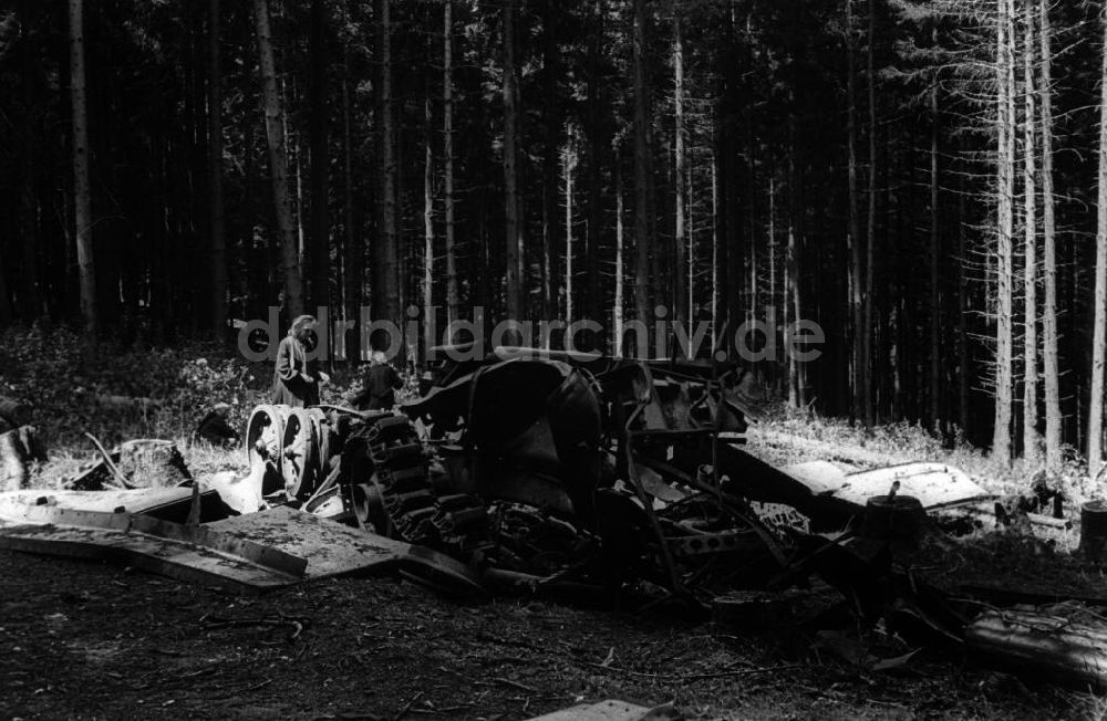DDR-Fotoarchiv: Schierke - Ausflug in den Harz 1948