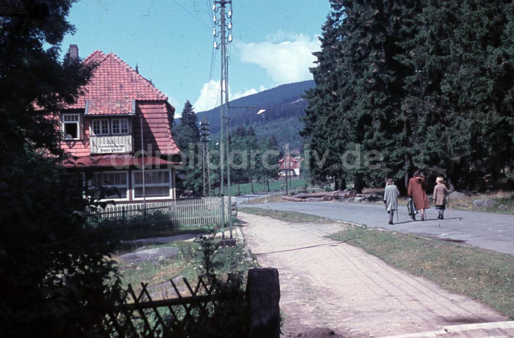 Schierke: Ausflug in den Harz 1948