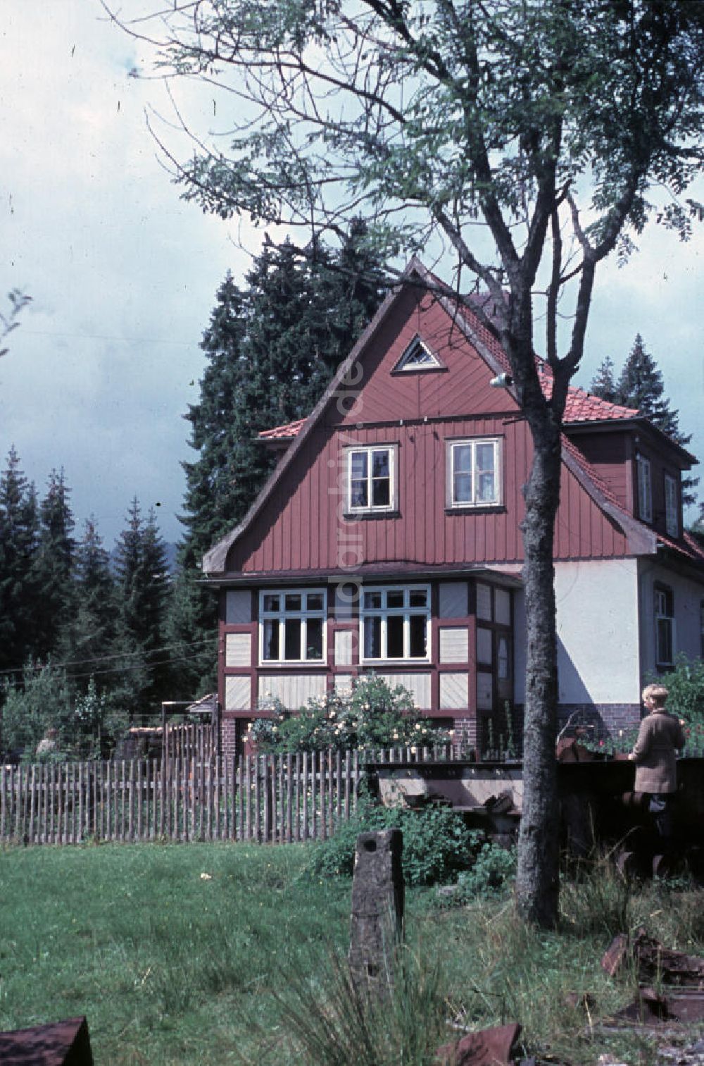 DDR-Bildarchiv: Schierke - Ausflug in den Harz 1948