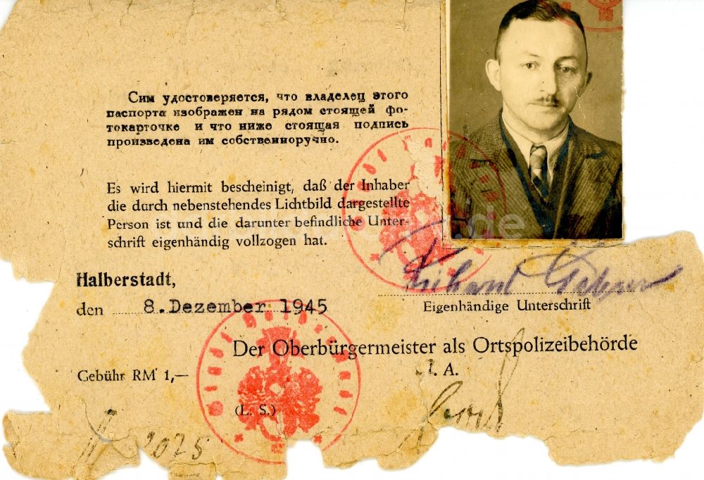 Halberstadt: Ausweispapier - Identitätsnachweis ausgestellt in Halberstadt im Bundesland Sachsen-Anhalt auf dem Gebiet der ehemaligen russisch - sowjetischen Besatzungszone