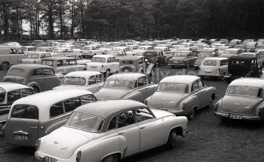 Gotha: Autos auf einem Parkplatz in Gotha in Thüringen in der DDR