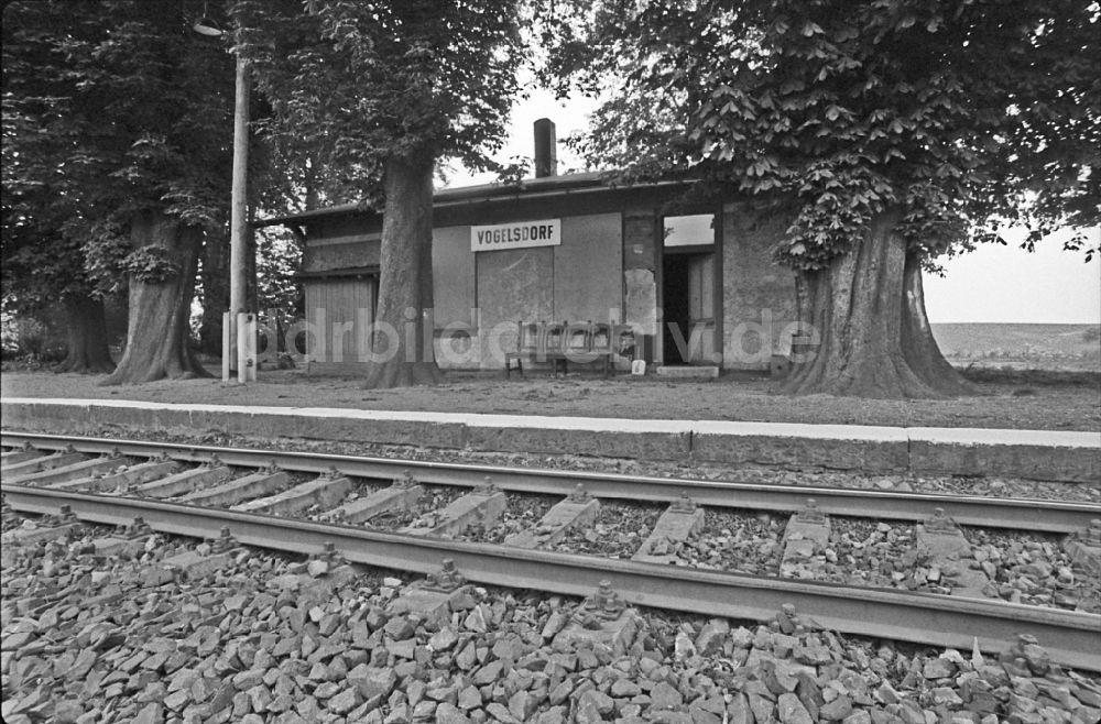 Vogelsdorf: Bahnhof in Vogelsdorf in der DDR