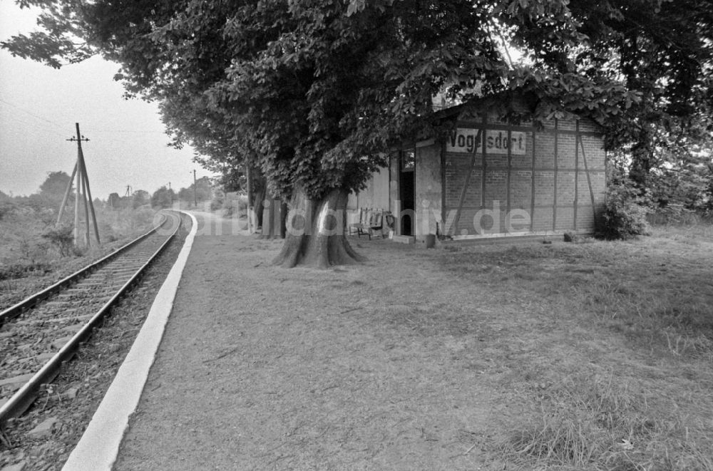 Vogelsdorf: Bahnhof in Vogelsdorf in der DDR
