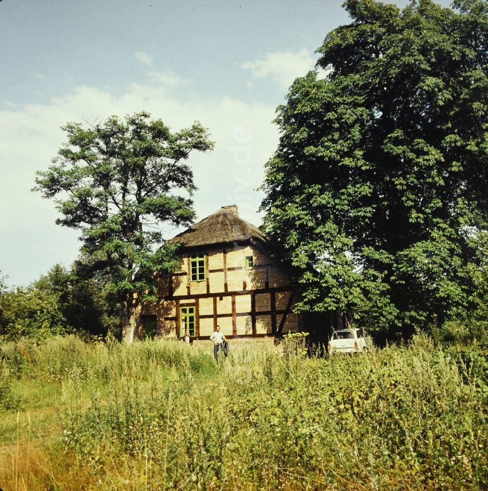 DDR-Fotoarchiv: Boek - Bauernhaus - Fassade in Boek in Mecklenburg-Vorpommern in der DDR
