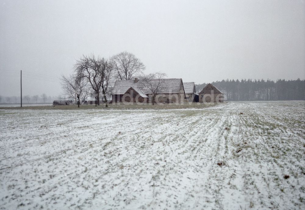 DDR-Fotoarchiv: Horka - Bauernhofbetrieb auf einem winterlich schneebedeckten Feld in Horka / Hähnichen in der DDR