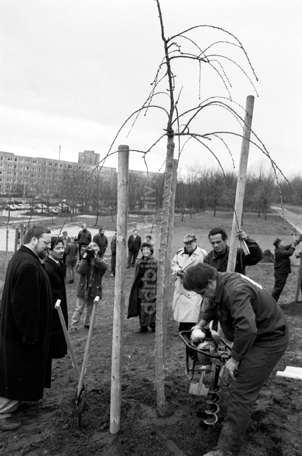 DDR-Fotoarchiv: unbekannt - Baum pflanzen 20.11.92 Foto: ND/Lange Umschlagnummer: 1210
