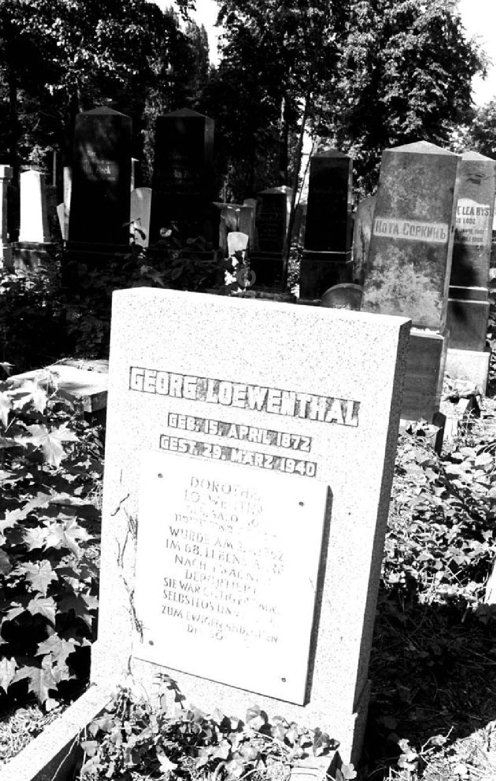DDR-Fotoarchiv: Berlin - Berlin, Jüdischer Friedhof am Weißensee Photo: Bonitz