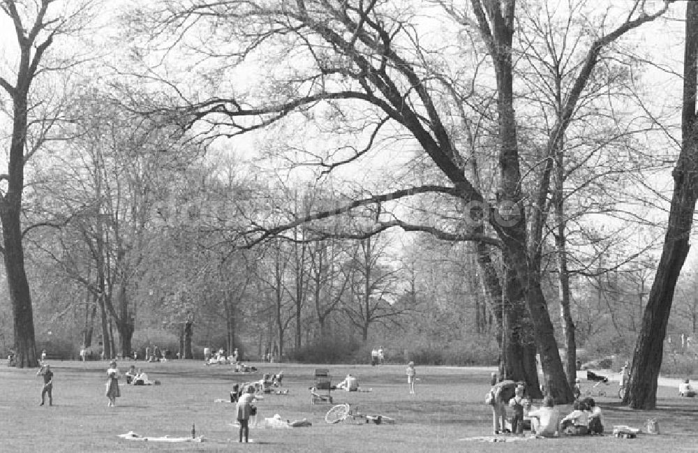 DDR-Bildarchiv: Berlin - Pankow - Berlin Pankow - Bürgerpark Foto: Lenke Nr.: 439