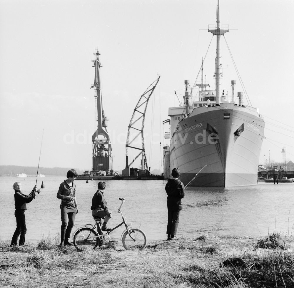DDR-Fotoarchiv: Rostock - Überseehafen in Rostock in Mecklenburg-Vorpommern in der DDR