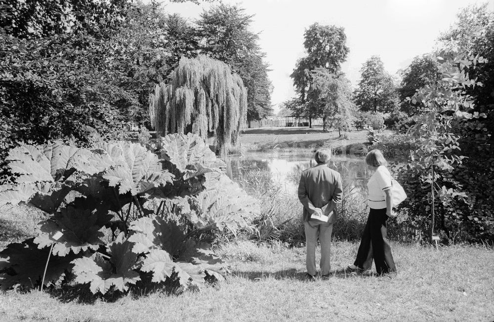 DDR-Bildarchiv: Berlin - Besucher in der Parkanlage des Späth-Arboretum in Berlin, der ehemaligen Hauptstadt der DDR, Deutsche Demokratische Republik