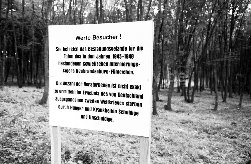 Mecklenburg-Vorpommern Neubrandenburg: Bez. Neubrandenburg - Brandenburg Grabfunde eines ehem. Internierungslagers 19.07.90 Foto: Lange Umschlag: 0957