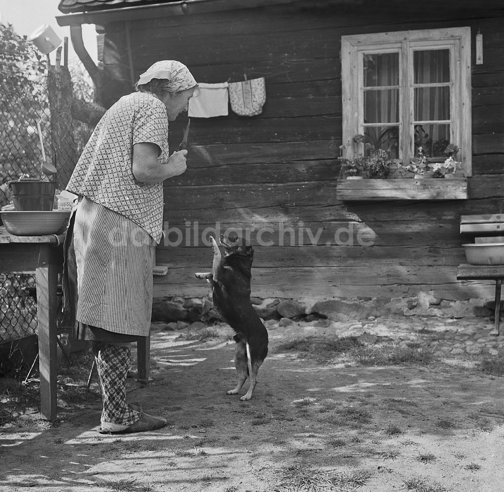 DDR-Bildarchiv: Haide - Bäuerin und ihrem Hund vor Bauernhaus - Fassade in Haide in der DDR