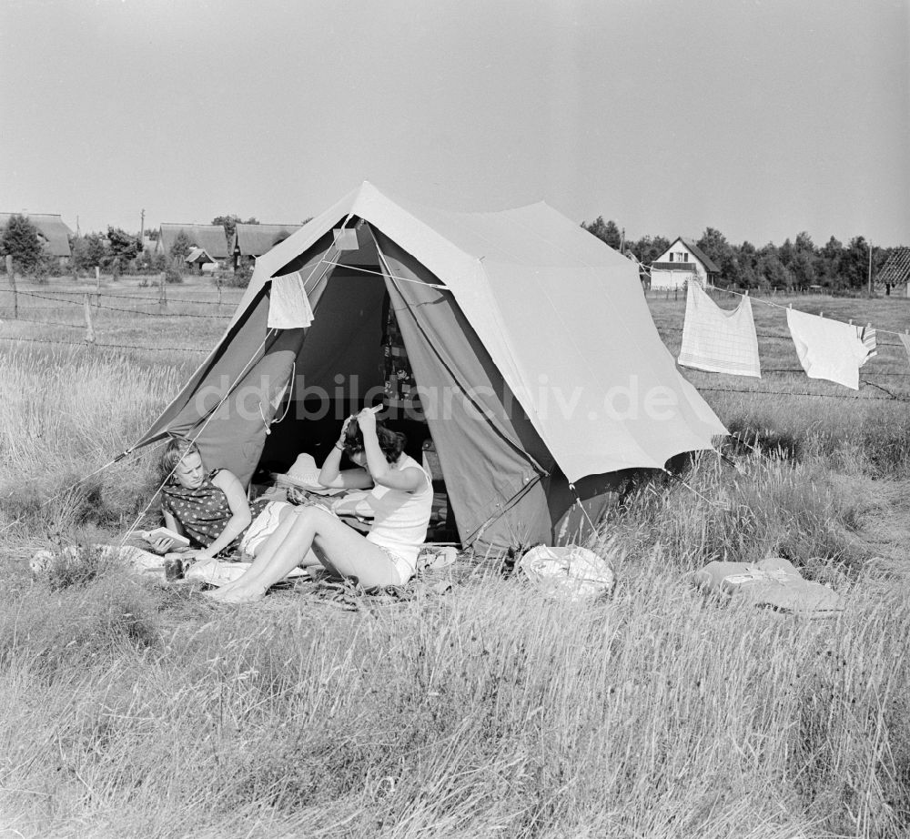 DDR-Bildarchiv: Dierhagen - Campingurlaub im Ostseebad Dierhagen in Dierhagen in Mecklenburg-Vorpommern in der DDR