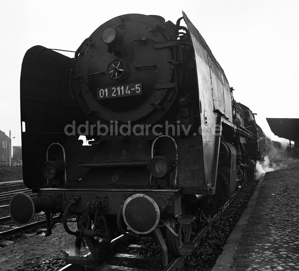 Halberstadt: Dampflokomotive der Deutschen Reichsbahn der Baureihe 01 im Bahnhof in Halberstadt in Sachsen-Anhalt in der DDR