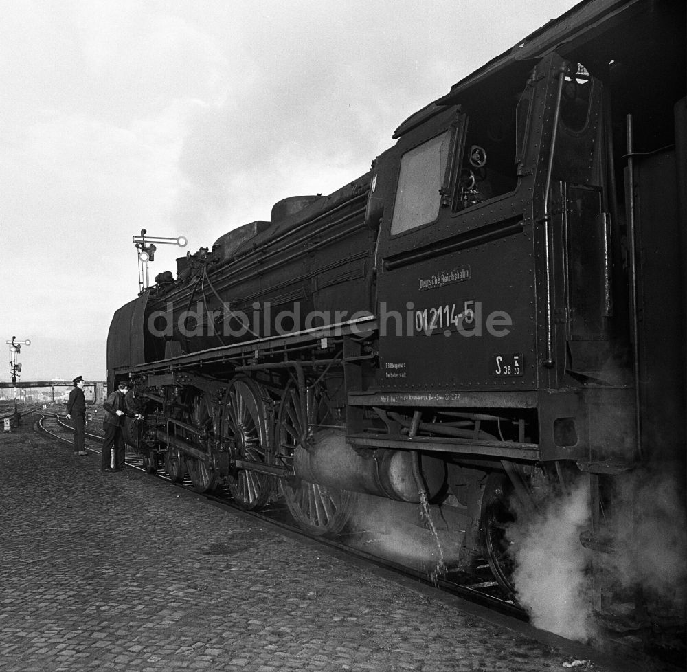 DDR-Fotoarchiv: Halberstadt - Dampflokomotive der Deutschen Reichsbahn der Baureihe 01 im Bahnhof in Halberstadt in Sachsen-Anhalt in der DDR