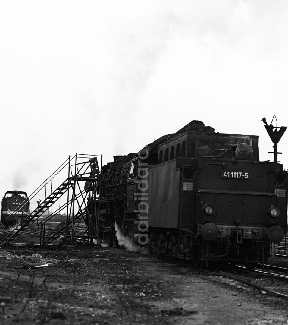 DDR-Bildarchiv: Halberstadt - Dampflokomotive der Deutschen Reichsbahn der Baureihe 41 117-5 in Halberstadt in Sachsen-Anhalt in der DDR