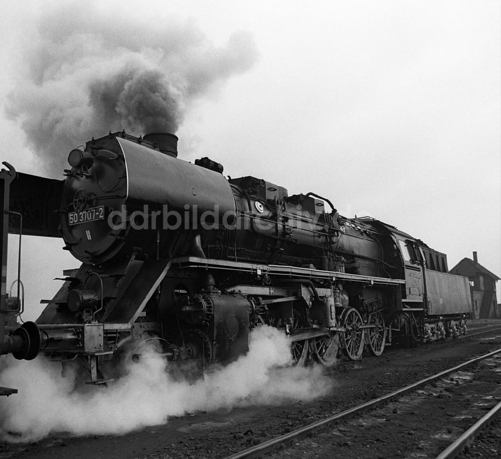 Halberstadt: Dampflokomotive der Deutschen Reichsbahn der Baureihe 50 3604 in Halberstadt in Sachsen-Anhalt in der DDR