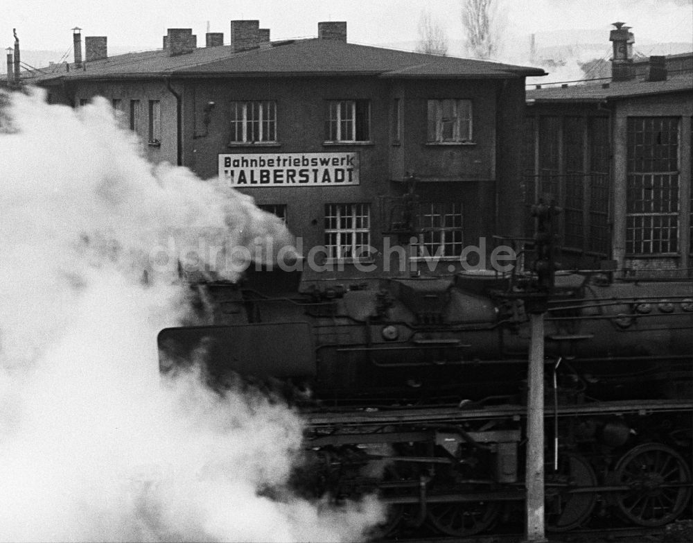 DDR-Fotoarchiv: Halberstadt - Dampflokomotive der Deutschen Reichsbahn der Baureihe 50 3604 in Halberstadt in Sachsen-Anhalt in der DDR