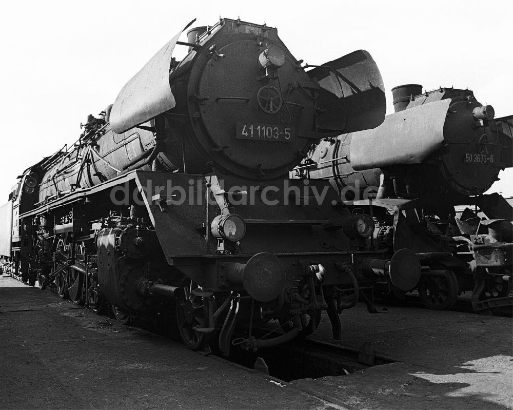 Halberstadt: Dampflokomotiven der Deutschen Reichsbahn im RAW in Halberstadt in Sachsen-Anhalt in der DDR