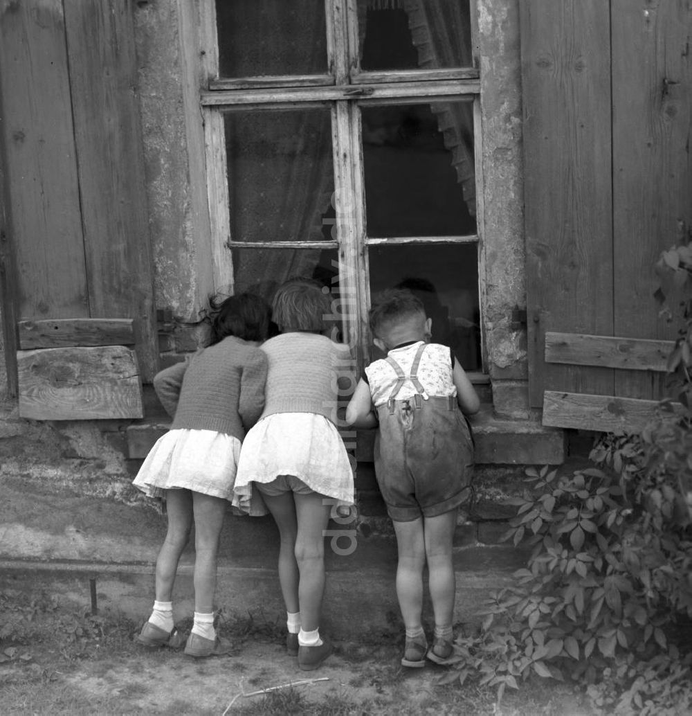 DDR-Fotoarchiv: Pomßen - DDR - Dorfkinder in Pomßen 1962