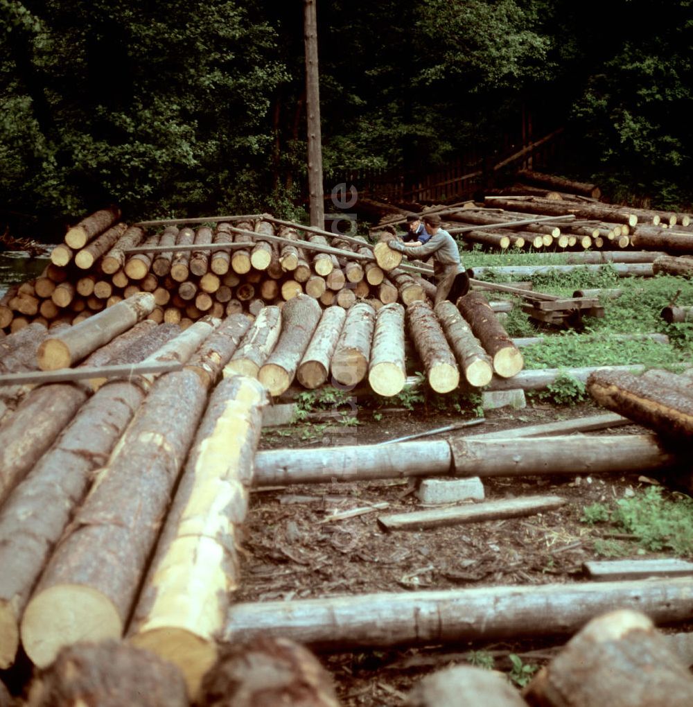 Katzhütte: DDR - Fortwirtschaft Thüringer Wald 1969