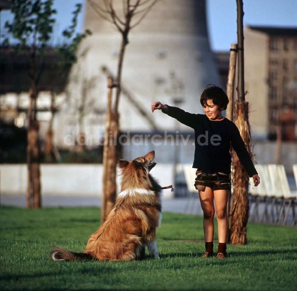 Berlin: DDR - Ein Hund wie Lassie 1970