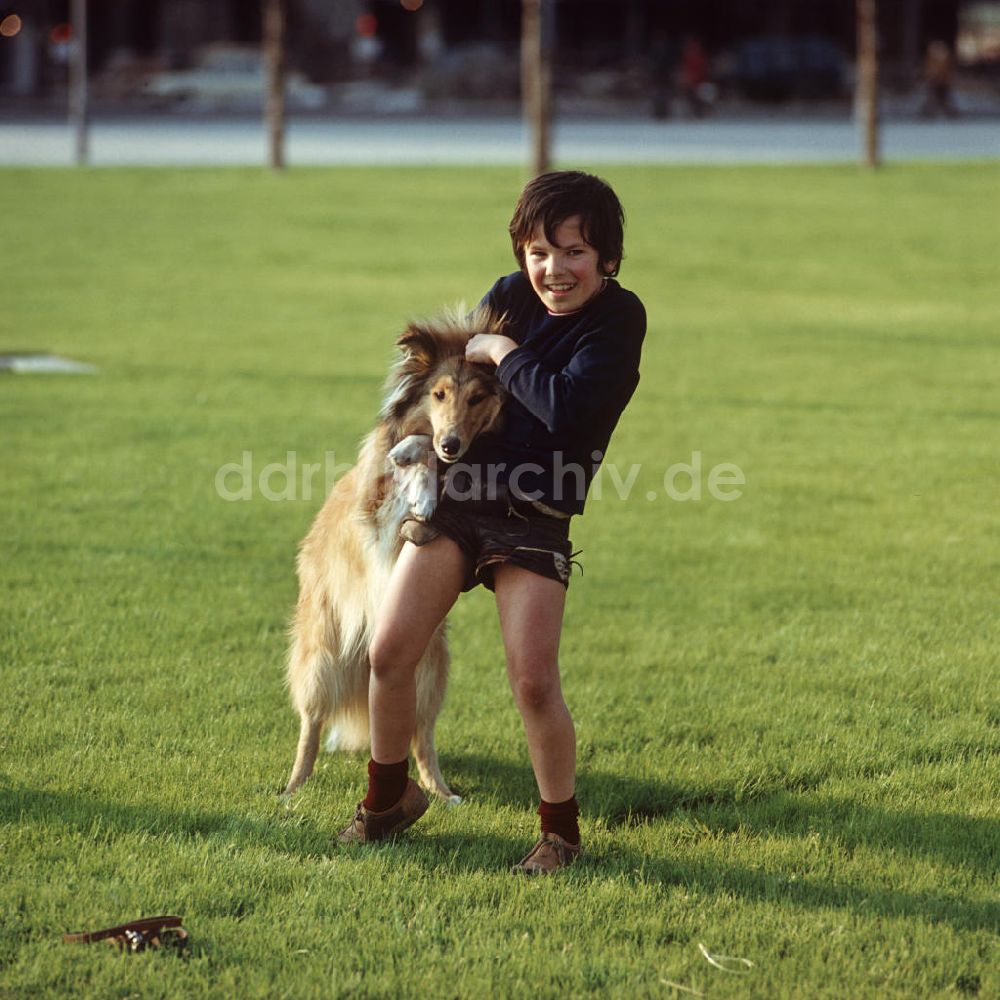 Berlin: DDR - Ein Hund wie Lassie 1970