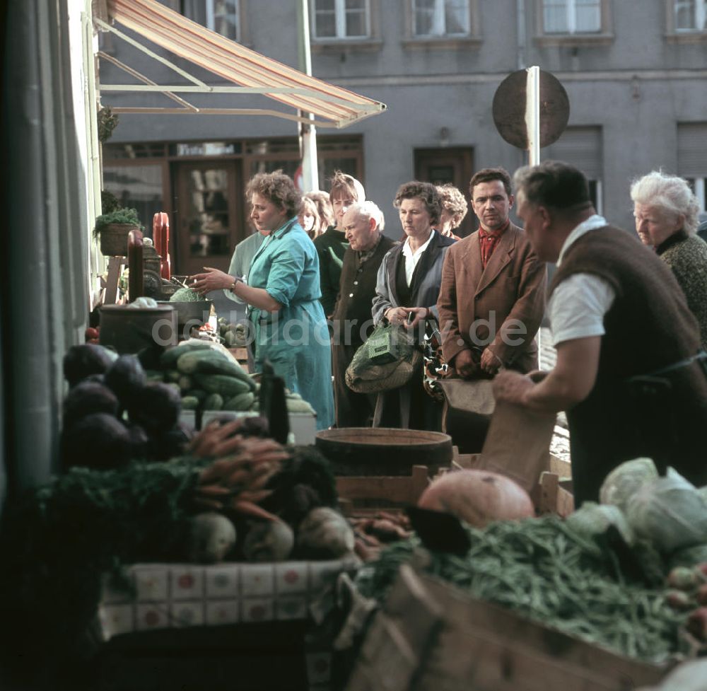 DDR-Bildarchiv: Bernau - DDR - Obst- und Gemüseladen 1966