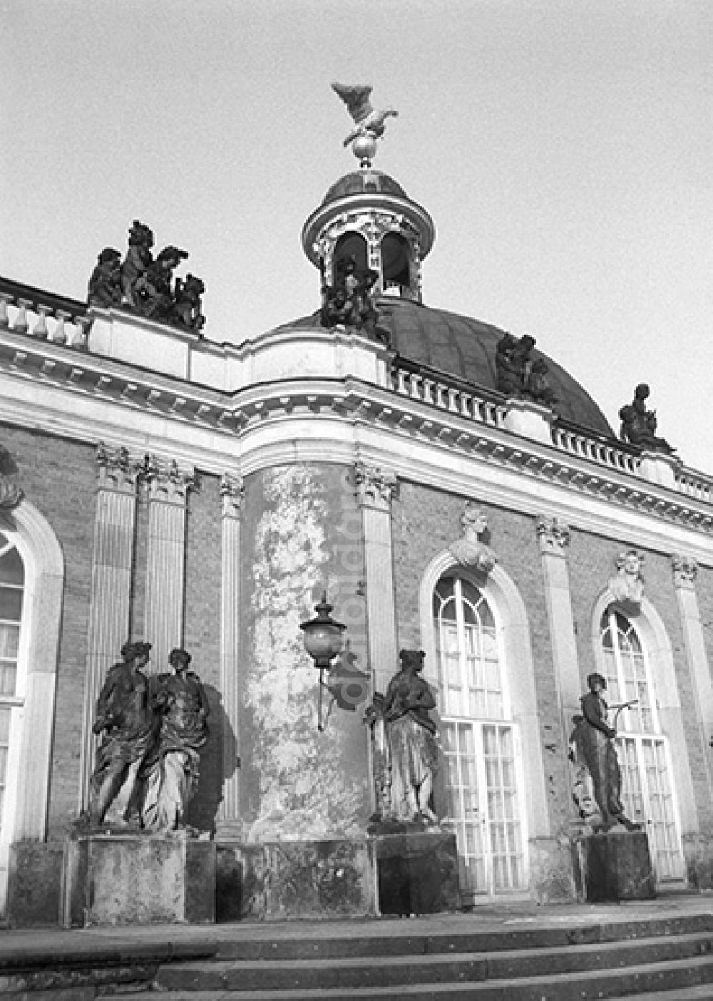DDR-Fotoarchiv: Potsdam - DDR - Park Sanssouci 1986