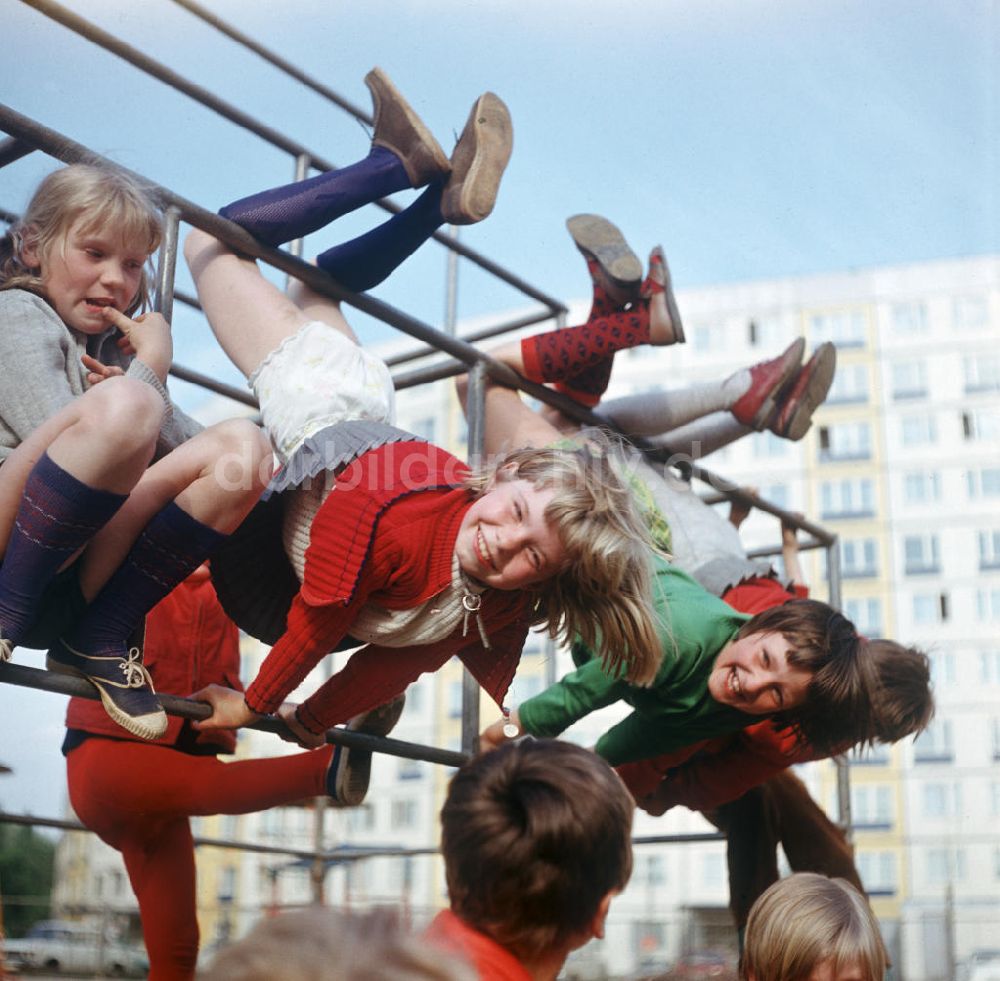 Berlin: DDR - Schweinebammel 1972