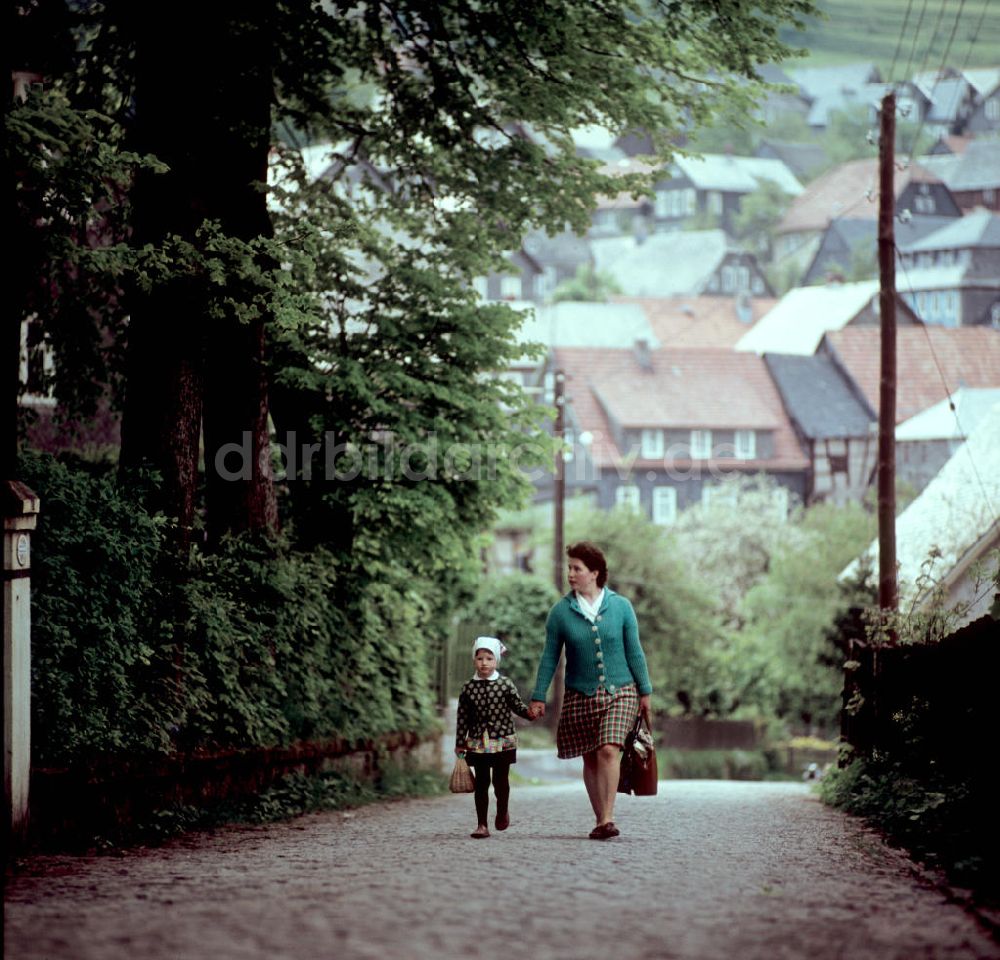 DDR-Bildarchiv: Deesbach - DDR - Thüringer Wald 1969