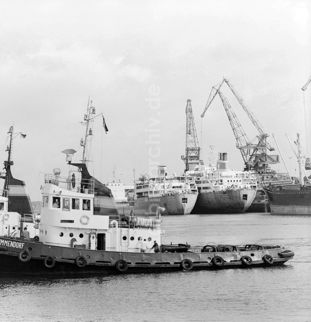 DDR-Fotoarchiv: Rostock - Der Hafen Rostock an der Unterwarnow in Rostock in Mecklenburg-Vorpommern in der DDR