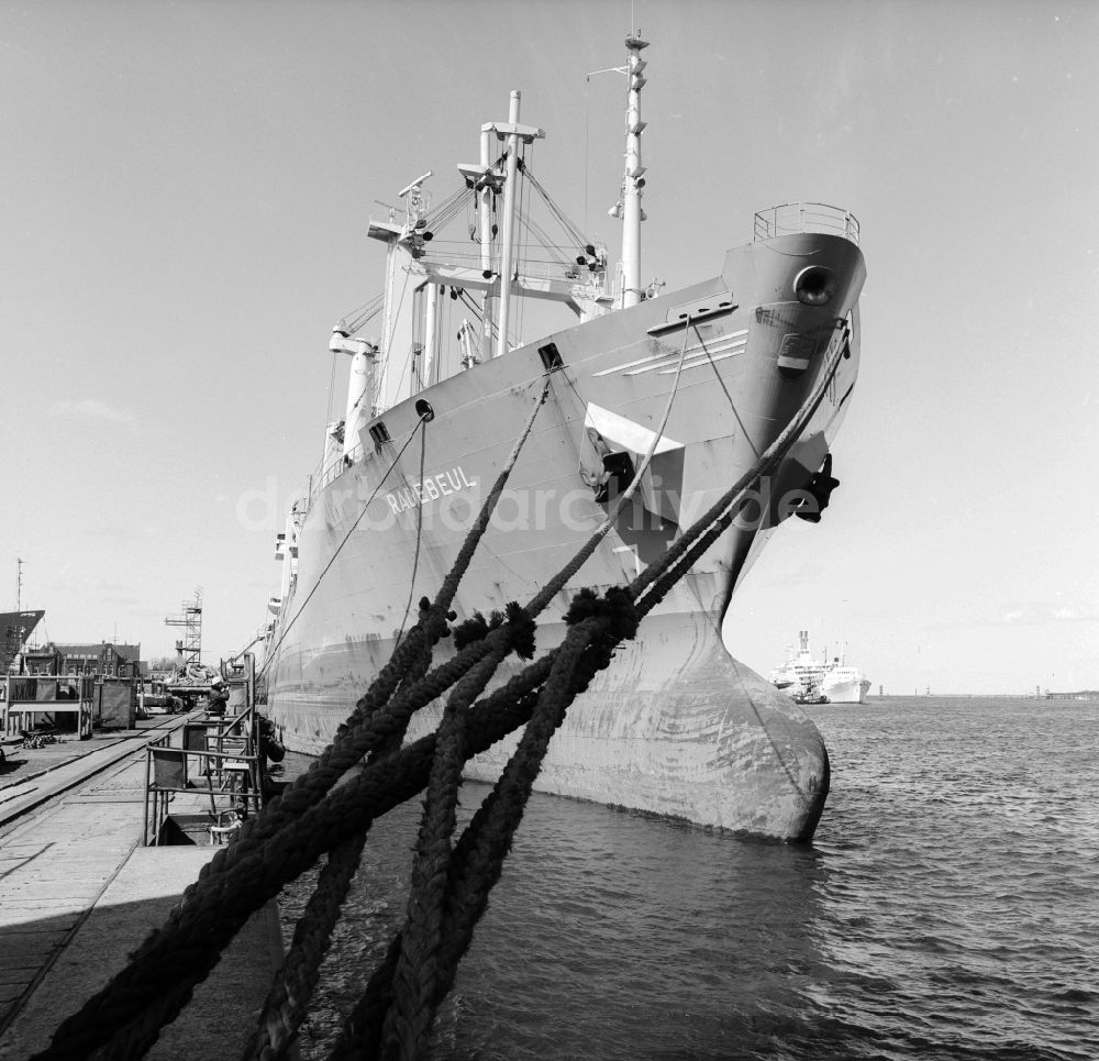 DDR-Bildarchiv: Warnemünde - Der sowjetische Stückgutfrachter Korsun-Schewschenkowski am Dock in Warnemünde in Mecklenburg-Vorpommern in der DDR