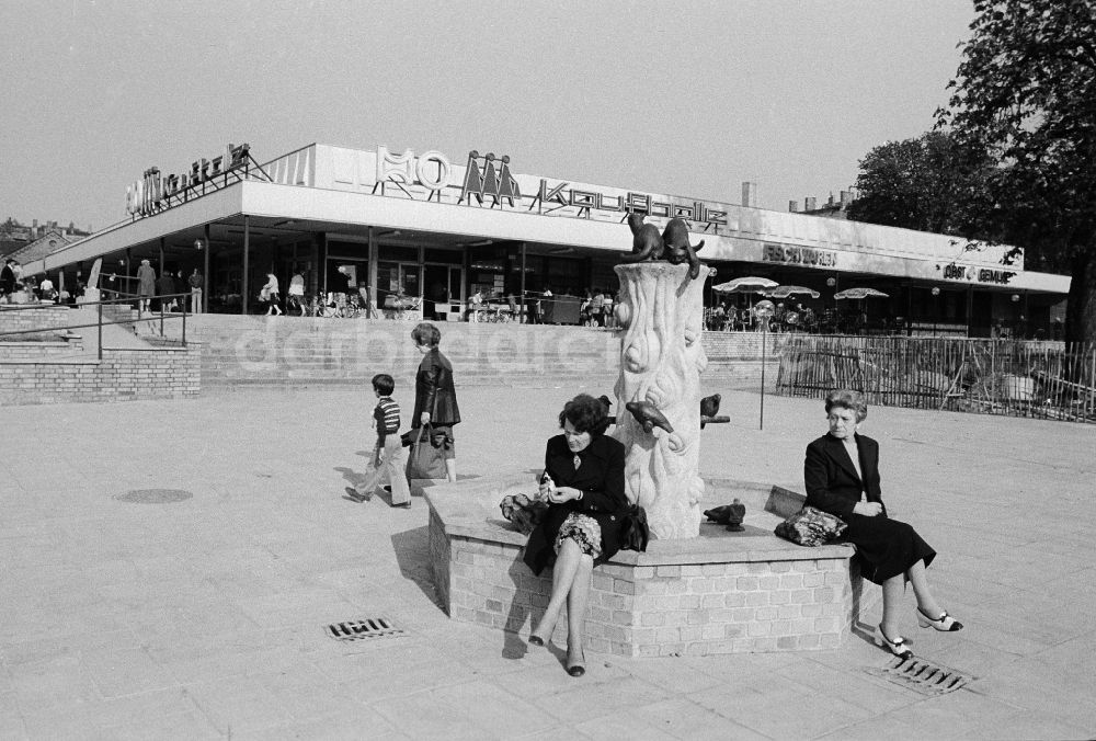 DDR-Fotoarchiv: Berlin - Die einst größte HO Kaufhalle Berlins im Bezirk Pankow in Berlin, der ehemaligen Hauptstadt der DDR, Deutsche Demokratische Republik